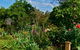 Clyde Cottage - thumb 3