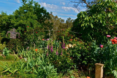 Clyde Cottage - Getaway Accommodation 3