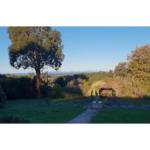 Ripplebrook Cottage - Getaway Accommodation 0