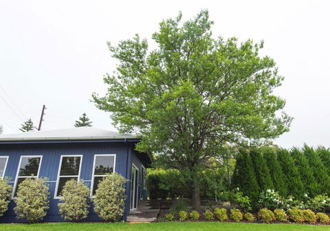 Studio 22 - Getaway Accommodation 4