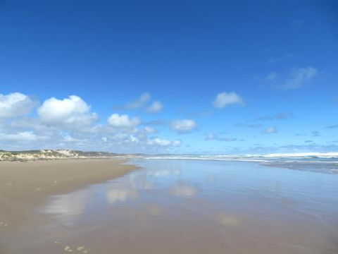 Arthur Riverfront & Sea Lodge Downstream - Getaway Accommodation 0