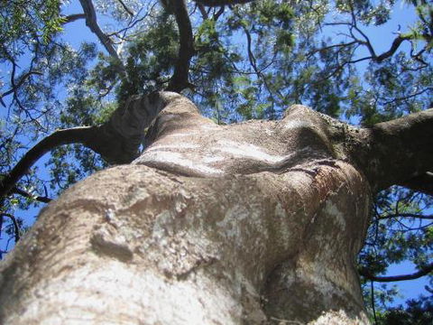 Arthur Riverfront & Sea Lodge Downstream - Getaway Accommodation 4