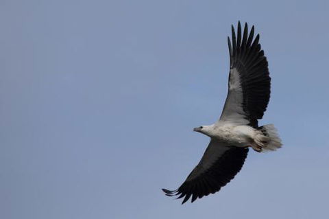 Arthur Riverfront & Sea Lodge Downstream - Getaway Accommodation 6