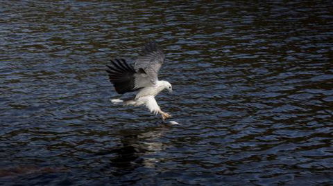 Arthur Riverfront & Sea Lodge Downstream - Getaway Accommodation 3