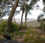 Canyon Cottage - Getaway Accommodation