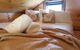 Berrys Creek Tiny House - thumb 6