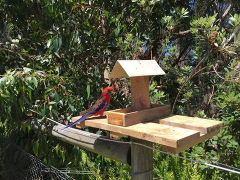 Rosella Cottage Waratah Bay - Getaway Accommodation 1