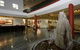 Holiday Inn Gagudju Crocodile - thumb 1