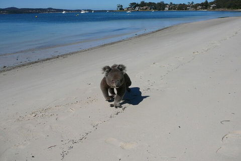The Mitchells Waterfront Bed & Breakfast - Getaway Accommodation 7