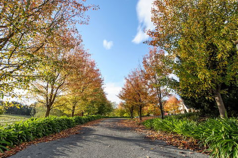 Montfort Manor - Getaway Accommodation 0