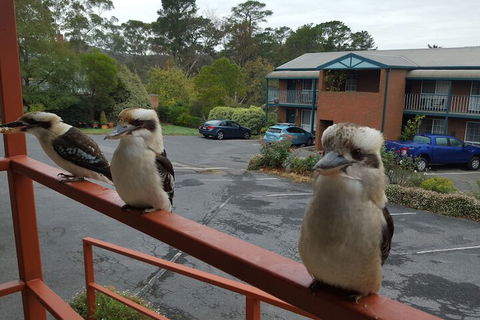 Hepburn Springs Motor Inn - Getaway Accommodation 6