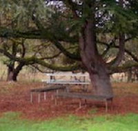 Auburn Shiraz Motel - Getaway Accommodation