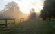 Carinya Park - thumb 2