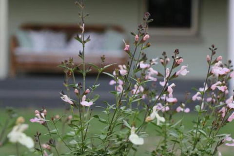 Serendipity On Allyn - Getaway Accommodation 0