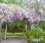 Amelina Cottages - Getaway Accommodation