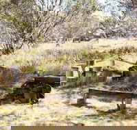 Wrens View - Getaway Accommodation