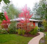 Dalrymples Guest Cottages - Getaway Accommodation