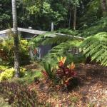 Honeybee House - Getaway Accommodation 0