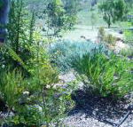 Old Miners Cottages Bed  Breakfast - Getaway Accommodation