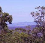 Ravensbourne Escape Cedar Lodge - Getaway Accommodation