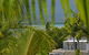 Monsoon Villa B - thumb 4