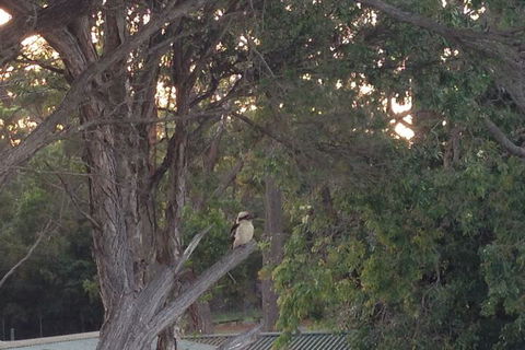 Huskisson Beach B&B - Getaway Accommodation 2