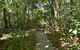 Sea La Villa Port Douglas - thumb 2