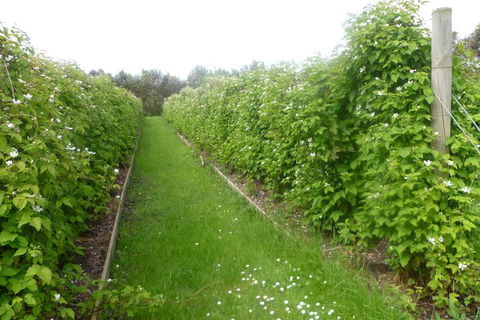 Karingal Homestead B & B - Getaway Accommodation 4