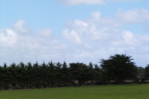 Karingal Homestead B & B - Getaway Accommodation 5