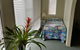 Clifford Park Holiday Motor Inn - thumb 6