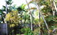 Coral Beach Lodge - thumb 1