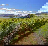 Riversdale Estate Cottages - Getaway Accommodation