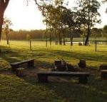 Wallaby Cottage cute Accom in bushland setting - Getaway Accommodation