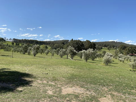 Hunter Homestead - Getaway Accommodation 0
