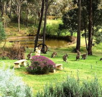 Countryside Connections Tranquil Studio - Getaway Accommodation