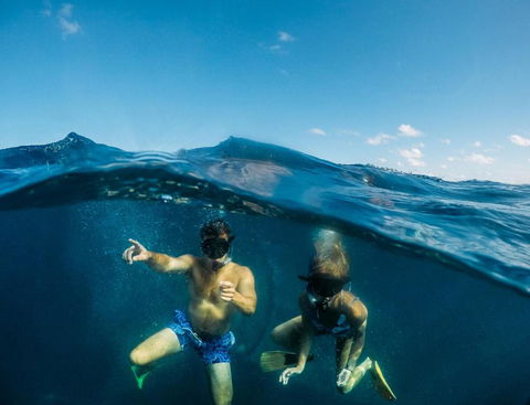 Manta Lodge YHA & Scuba Centre - Getaway Accommodation 6