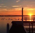 Bayview Boathouse - Getaway Accommodation