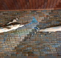 Tonys pizza house - Getaway Accommodation