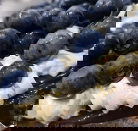 Uptown Patisserie - Getaway Accommodation