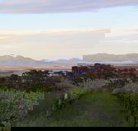 Castle Rock Estate Winery - Getaway Accommodation