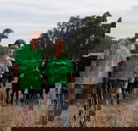 Milawa Organic Beef - Getaway Accommodation