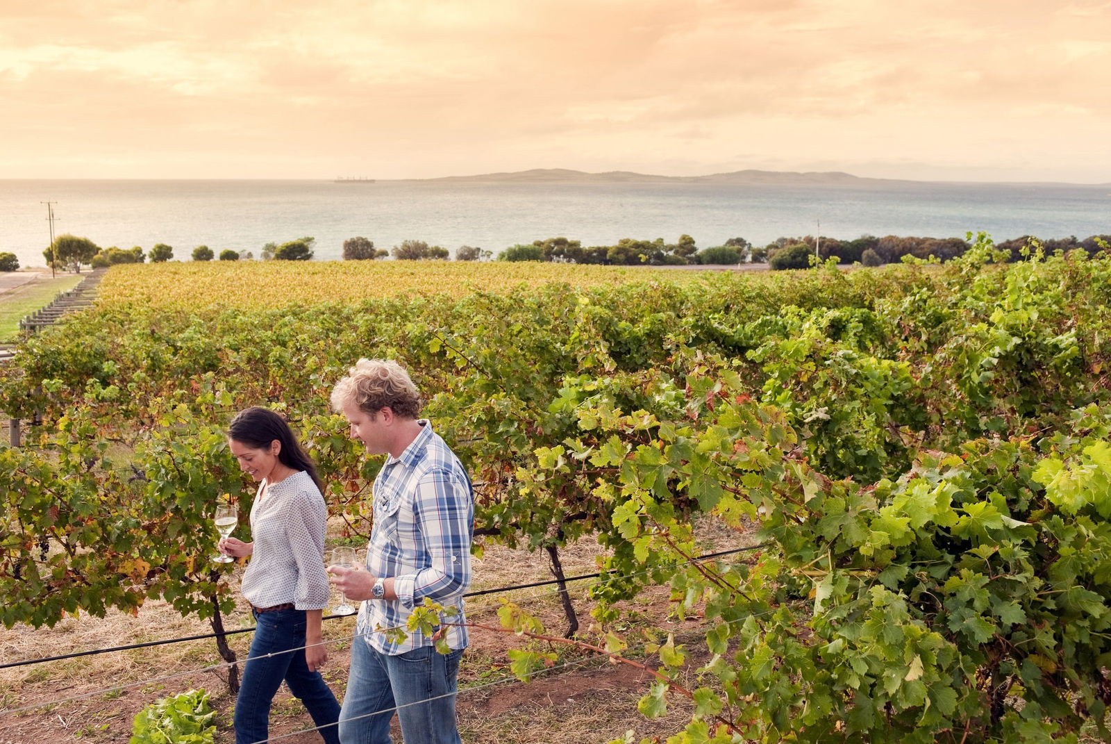 Charlton Gully SA Getaway Accommodation