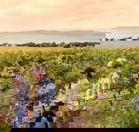 Boston Bay Wines - Getaway Accommodation