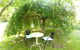 Earthwater Cafe - thumb 0