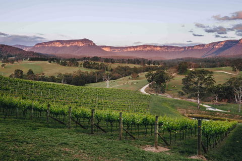 Dryridge Estate - Getaway Accommodation 0