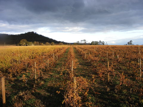 Booths Taminick Cellars - Getaway Accommodation 2