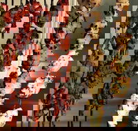 The Spice Yard - Getaway Accommodation