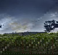 Dalrymple Vineyards - Getaway Accommodation