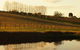 Brook Eden Vineyard - thumb 1