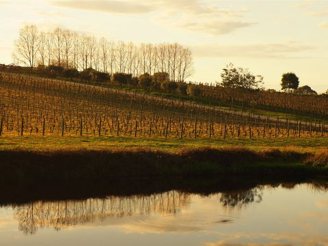 Brook Eden Vineyard - Getaway Accommodation 1